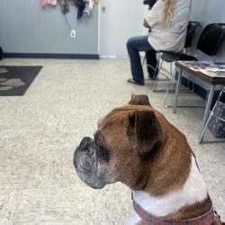 Quick And Easy Bail Bonds