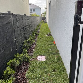 Phoenix Landscape Solutions - Left side landscaping - Landscaping Near Me