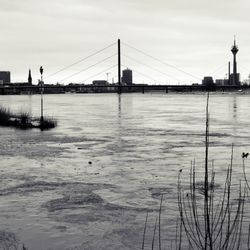 Rheinuferpromenade