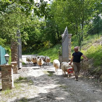 Agriturismo Villa Dama - Meal time - Bed & Breakfast Near Me - Gubbio, PG