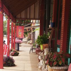 Cove Creek Emporium