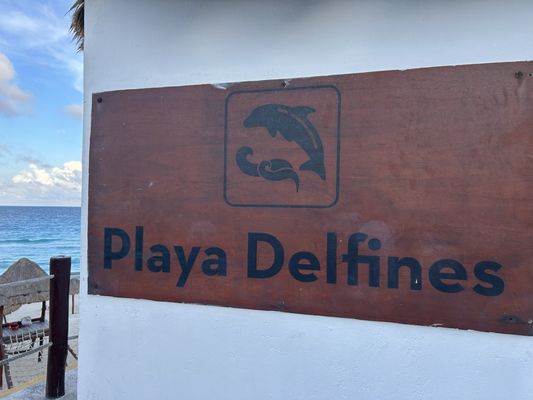 Dolphins Beach by null