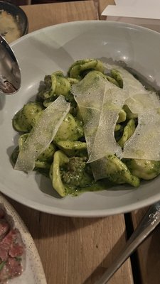 asterid by Ray Garcia by null