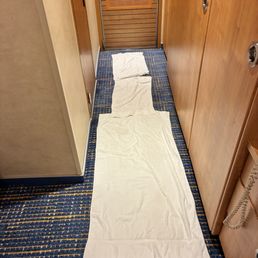 Towels laid down to avoid walking on damp carpet Towels laid down to avoid walking on damp carpet
