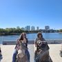 Photo of Tampa Rydables