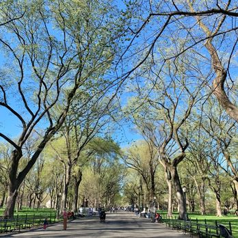 Central Park Conservancy - Parks Near Me - New York, New York