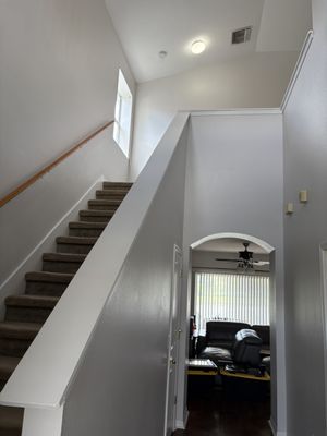 Lily’s Painting Services