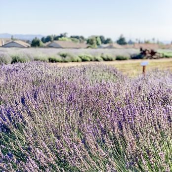 123 Farm - Farmers Market Near Me - Cherry Valley, California