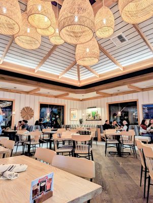 Pacific Catch by null