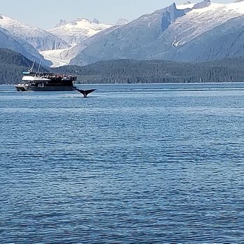 Jen Mosteller - Dream Vacations - Alaska - Travel Agents Near Me Jen Mosteller - Dream Vacations - Alaska - Travel Agents Near Me