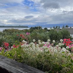 Hotel Neuer am See - Blick Richtung See von unserem Balkon