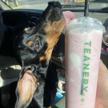 Teanery - Hibiscus and cream drink - Bubble Tea Near Me - Los Angeles, California Teanery - Hibiscus and cream drink - Bubble Tea Near Me - Los Angeles, California