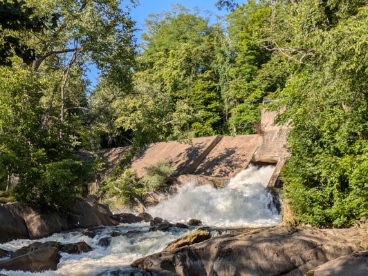 Historic Bulls Covered Bridge by null