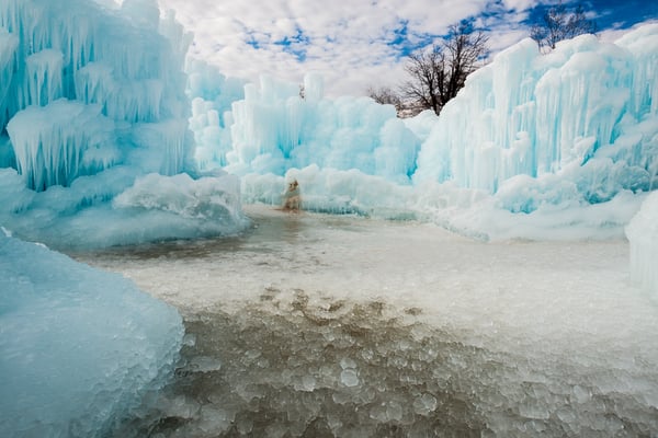 Ice Castles by null