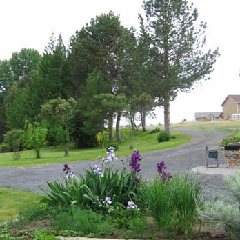 Camas Cove Cellars - Wineries Near Me - Moses Lake, Washington