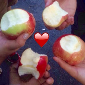 Union Square - Fresh apples from the Farmers Market. - Parks Near Me - New York, New York
