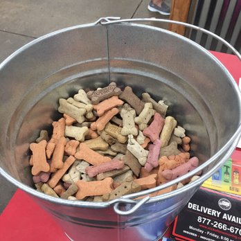 Rural King - Dog friendly store with treats at the service counter for your pets - Home & Garden Near Me - Circleville, Ohio