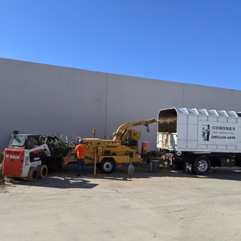 Corona's Tree Service - Very efficient and excellent equipment - Tree Services Near Me - Ventura, California Corona's Tree Service - Very efficient and excellent equipment - Tree Services Near Me - Ventura, California