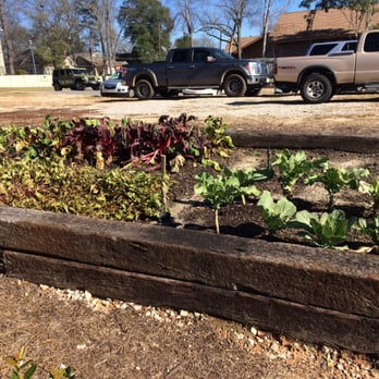 Acre - One of the veggie gardens outside. And some trucks. - Bars Near Me - Auburn, Alabama