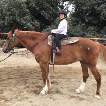 Pleasant Street Stable - Sabrina is a draft horse-our gentle giant. She's the perfect lesson horse for kids and adults. - Horseback Riding Near Me - Glendale, California Pleasant Street Stable - Sabrina is a draft horse-our gentle giant. She's the perfect lesson horse for kids and adults. - Horseback Riding Near Me - Glendale, California