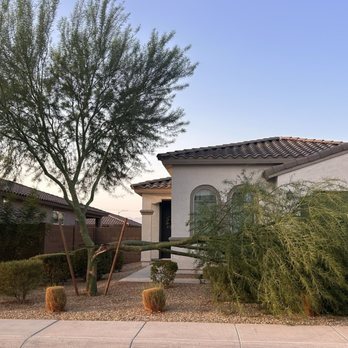 Tree Trimming - Tree Services Near Me - Tempe, Arizona Tree Trimming - Tree Services Near Me - Tempe, Arizona