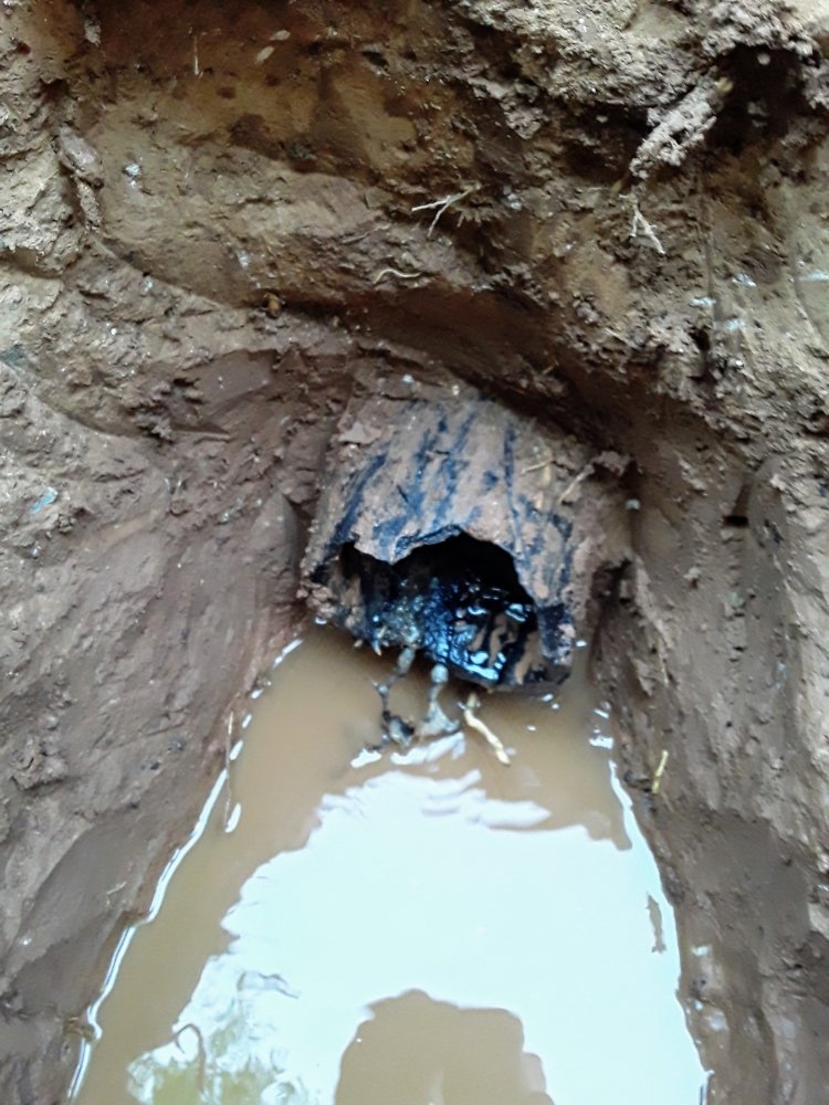 Slide of Bald Dude Plumbing & Handyman Service