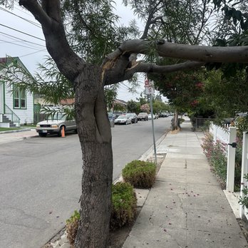 Emerald View Tree Service - Tree Services Near Me - San Jose, California