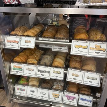 Bagels & Co - Bagels Near Me - Fort Lauderdale, Florida Bagels & Co - Bagels Near Me - Fort Lauderdale, Florida