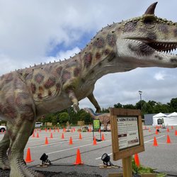 Dino Safari USA