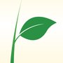 Photo of Rejuvenate Acupuncture and Wellness