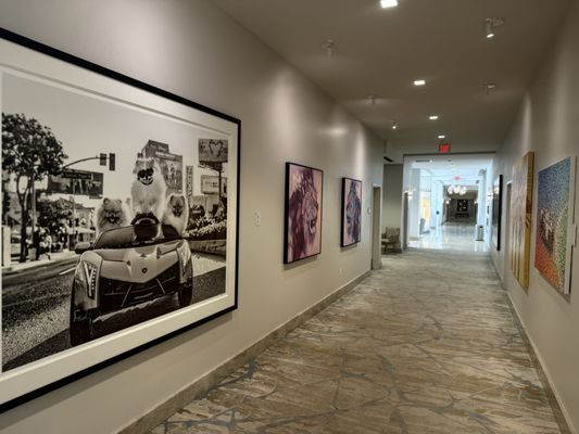 HOTEL PASEO, Autograph Collection by null