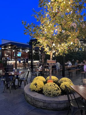 MudHen Brewing Company by null