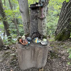 Northampton Park - Fairy house.