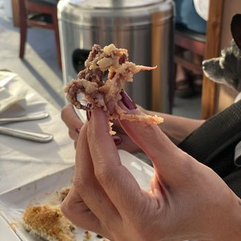 Luceti's on 25th - Real calamari - Italian Near Me - San Mateo, California Luceti's on 25th - Real calamari - Italian Near Me - San Mateo, California