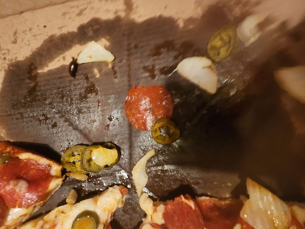 Domino's Pizza Logo