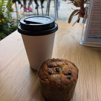Snowy Owl Cafe & Roastery - chocolate chip almond muffin - Coffee & Tea Near Me - Sandwich, Massachusetts Snowy Owl Cafe & Roastery - chocolate chip almond muffin - Coffee & Tea Near Me - Sandwich, Massachusetts