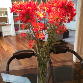 Central Square Florist - $3 daisies (about 2.5 feet tall)--lovely! - Florists Near Me - Cambridge, Massachusetts