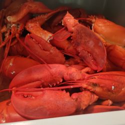 The Lobster Guy - Labor Day Lobsters