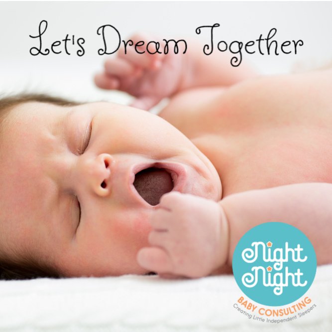 Night Night Baby Consulting - sleep specialist in Elk Grove, CA