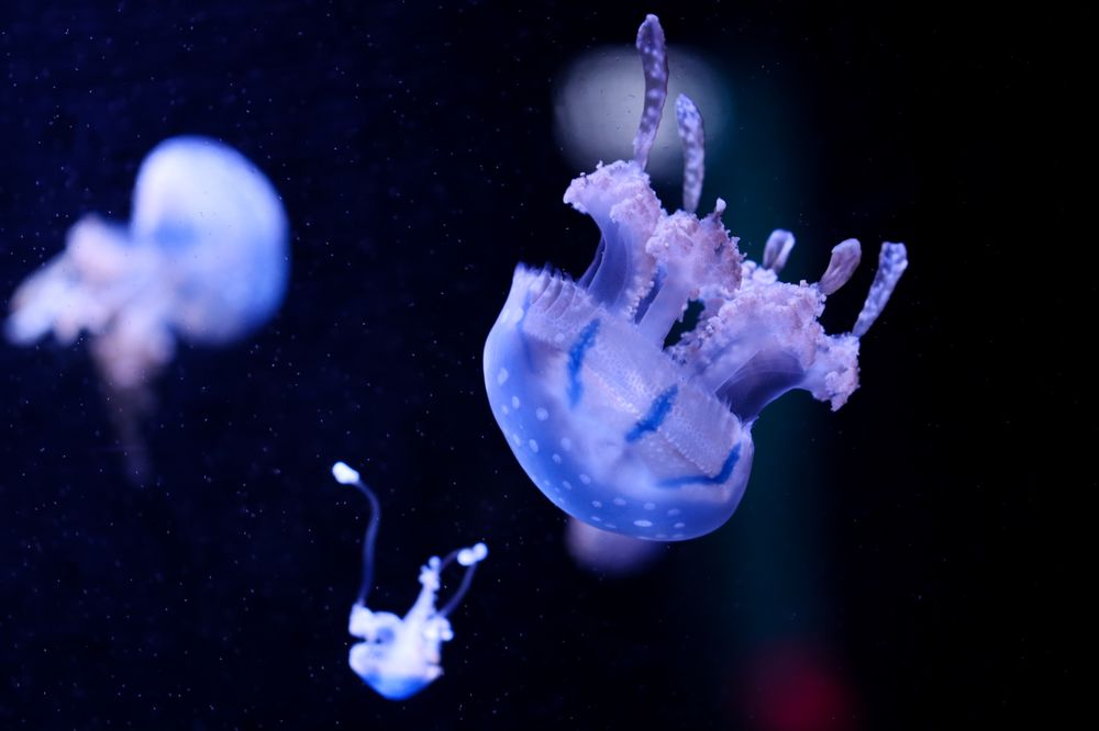 AQUARIUM DU QUÉBEC Updated September 2024 310 Photos & 45 Reviews