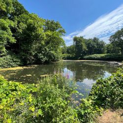 Kathryn Gorman Ponds Park