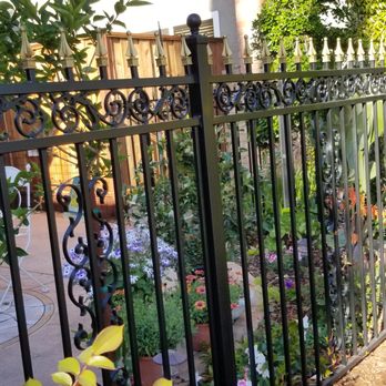 The Wolf's Iron Shop - lovely stainless steel, ornate wrought iron fence with floral scrolls & golden spears - Fences & Gates Near Me The Wolf's Iron Shop - lovely stainless steel, ornate wrought iron fence with floral scrolls & golden spears - Fences & Gates Near Me