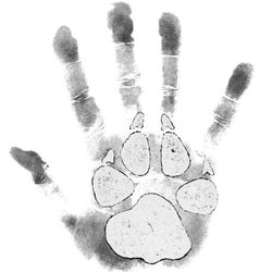 Pawfect Practice