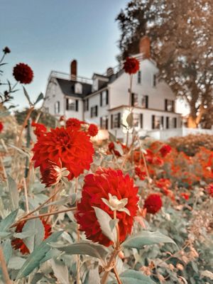 Ropes Mansion and Garden by null