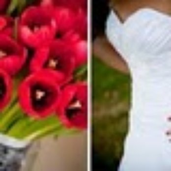 Royce Studio Wedding Photographer - Photographers Near Me - Omaha, Nebraska