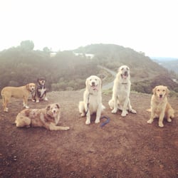 Matty's Mutts - Sunrise hikes Tues and Thursday