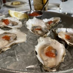 Oysters Oysters