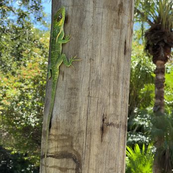 Zoo Miami - Zoos Near Me - Miami, Florida Zoo Miami - Zoos Near Me - Miami, Florida