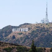 Photo of The George Harrison Tree - Los Angeles, CA, United States. the famed Hollywood sign (looking west)