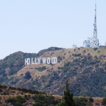 The George Harrison Tree - the famed Hollywood sign (looking west) - Local Flavor Near Me - Los Angeles, California The George Harrison Tree - the famed Hollywood sign (looking west) - Local Flavor Near Me - Los Angeles, California